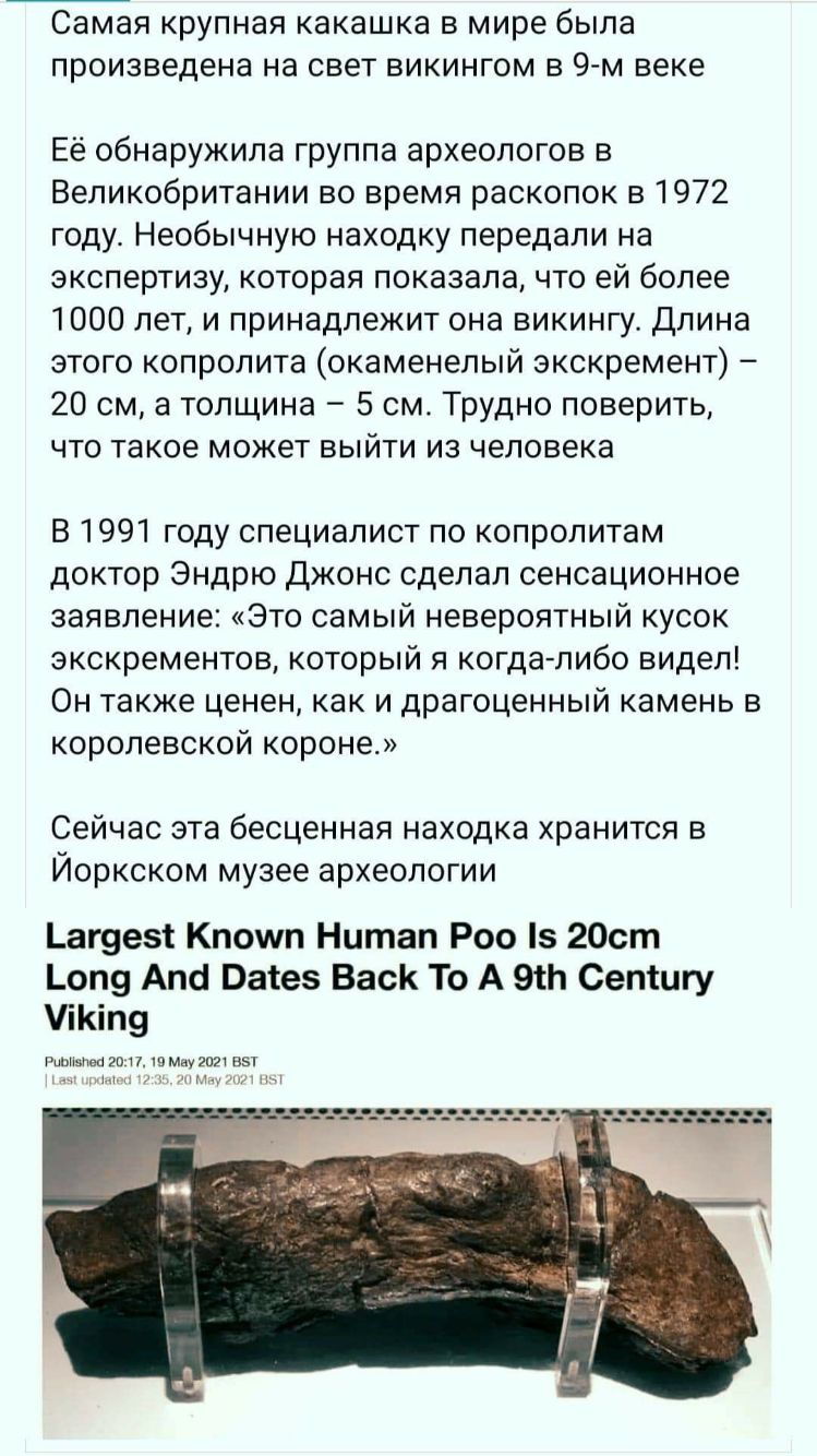 Самая крупная какашка в мире была произведена на свет викингом в 9 м веке Её обнаружила группа археологов в Великобритании во время раскопок в 1972 году Необычную находку передали на экспертизу которая показала что ей более 1000 лети принадлежит она викингу Длина этого копролита окаменелый экскремент 20 см а толщина 5 см Трудно поверить что такое может выйти из человека В 1991 году специалист по к