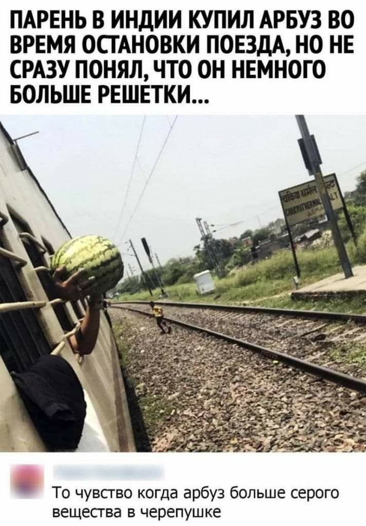 ПАРЕНЬ В ИНДИИ КУПИЛ АРБУЗ ВО ВРЕМЯ ОСТАНОВКИ ПОЕЗДА НО НЕ СРАЗУ ПОНЯЛ ЧТО ОН НЕМНОГО БОЛЬШЕ РЕШЕТКИ То чувство когда арбуз больше серого вещества в черепушке