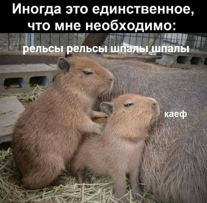 Иногда это единственное не необходимо