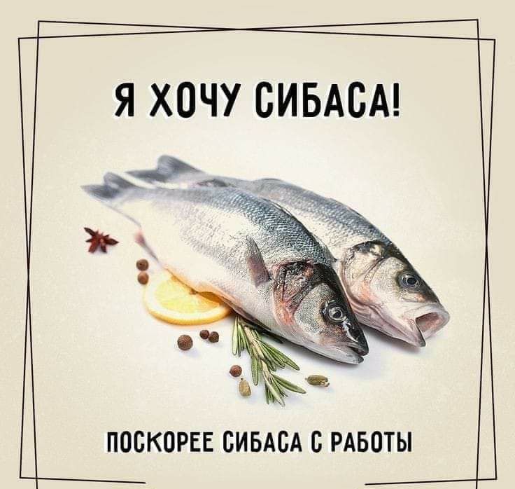 Я ХОЧУ СИБАБА ПОБКОРЕЕ СИБАСА В РАБОТЫ