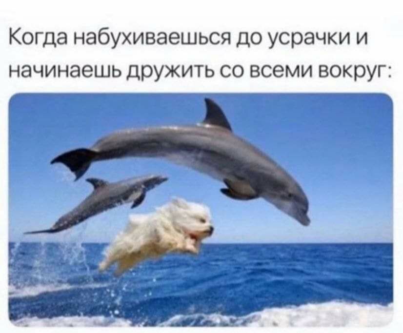 Когда набухиваешься до усрачки и начинаешь дружить со всеми вокруг