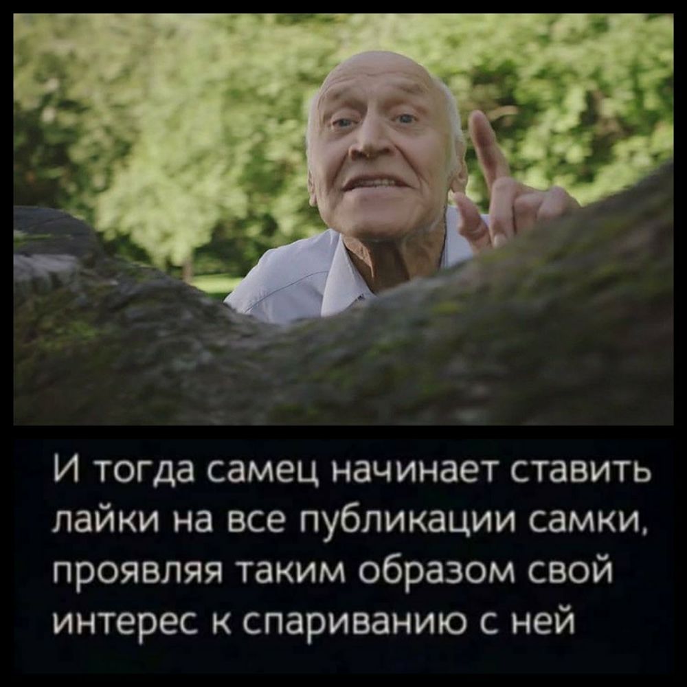 И тогда самец начинает ставить лайки на все публикации самки проявляя таким образом свой интерес к спариванию с ней
