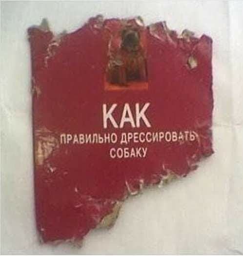 КАК пРАвипьио дрессировать і сов