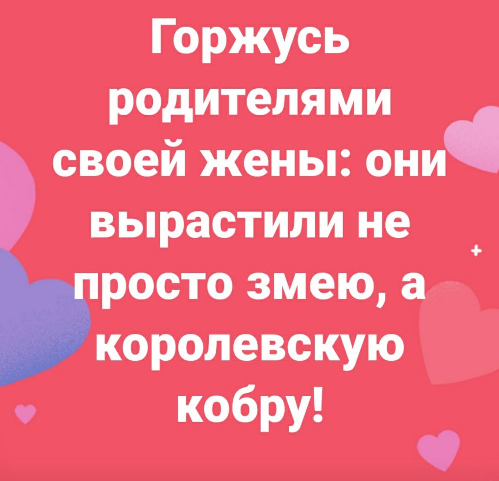 Горжусь родителями своей жены они вырастили не росто змею а королевскую кобру Ч