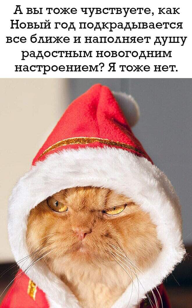 А вы тоже чувствуете как Новый год подкрадывается все ближе и наполняет душу радостным новогодним настроением Я тоже нет