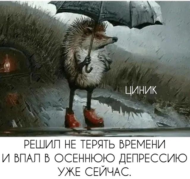 РЕШИП НЕ ТЕРЯТЬ ВРЕМЕН И БПАП Б ОСЕННЮЮ ДЕПРЕССИЮ УЖЕ СЕЙЧАС