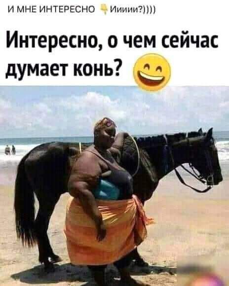 И МНЕ ИНТЕРЕСНО иииип Интересно о чем сейчас 7 думает конь _