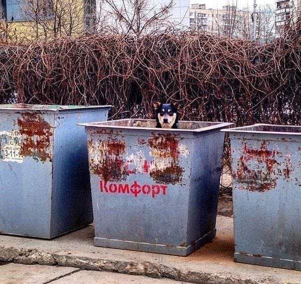 _ш Ф м 0