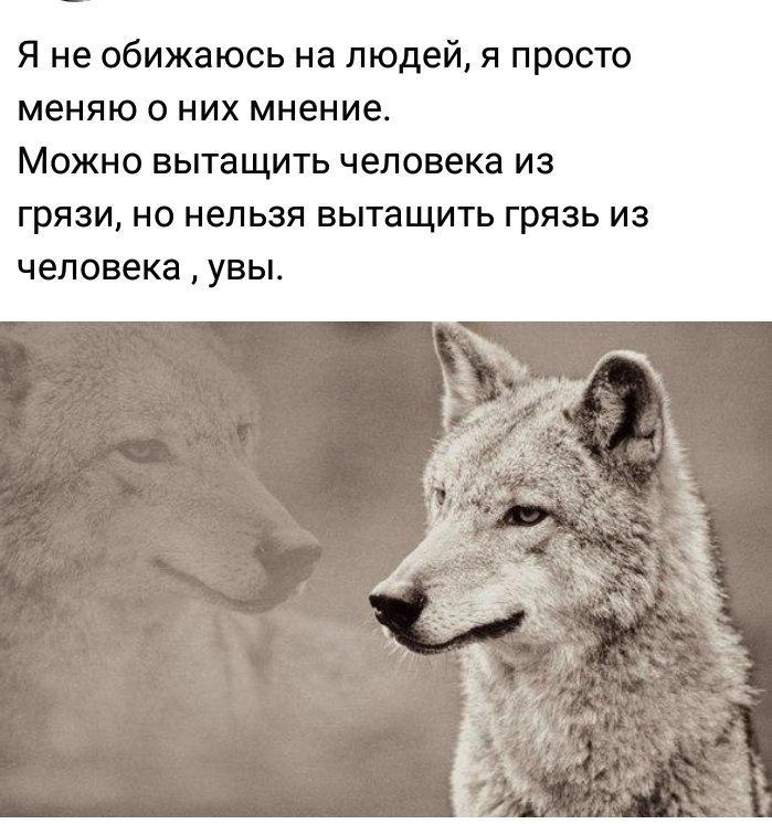 я не обижаюсь на людей я просто меняю О НИХ мнение МОЖНО ВЫТЗЩИТЬ человека ИЗ грязи НО нельзя ВЫТЗЩИТЬ грязь ИЗ человека УВЫ