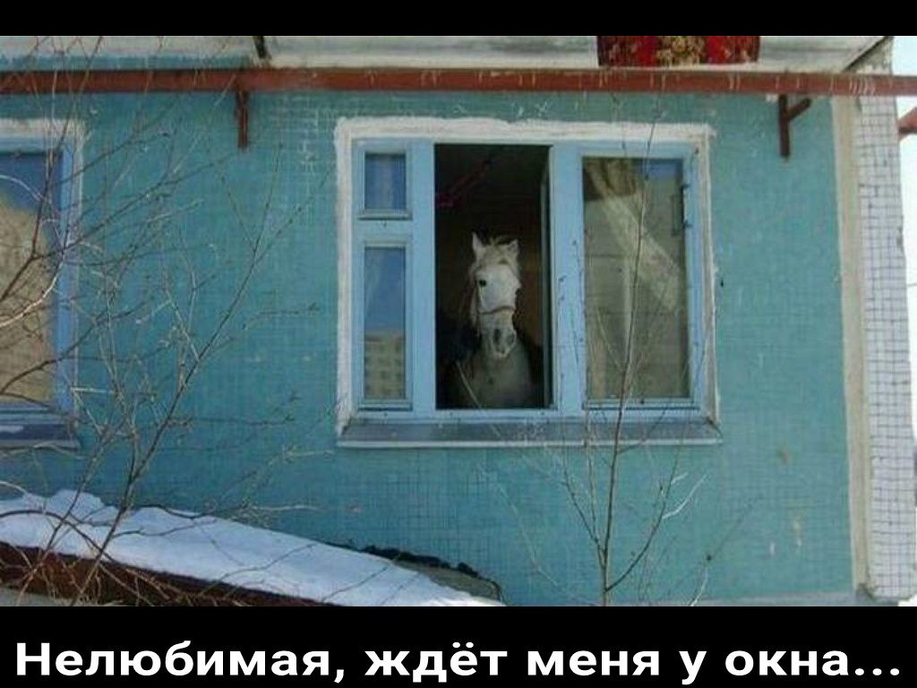 Нелюбимая ждёт меня у окна