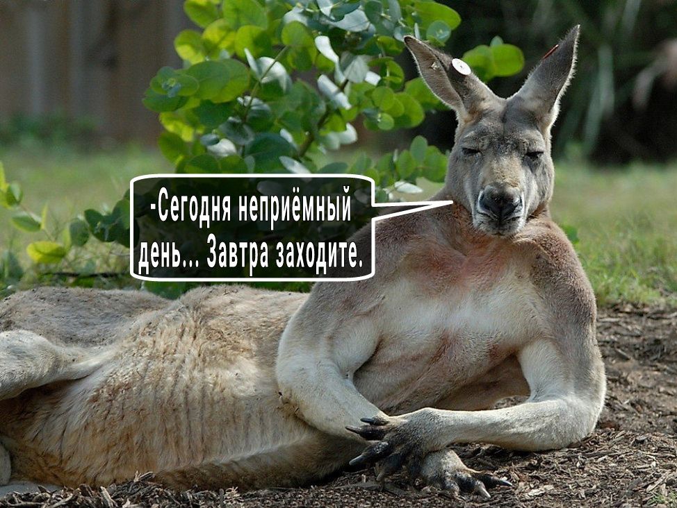 С_егодня неприемный день Завтра заходите