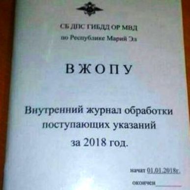 Бриттани п и ВЖОПУ Внутренний журнал обработки поступающих указаний за 20 гол шлицы иш
