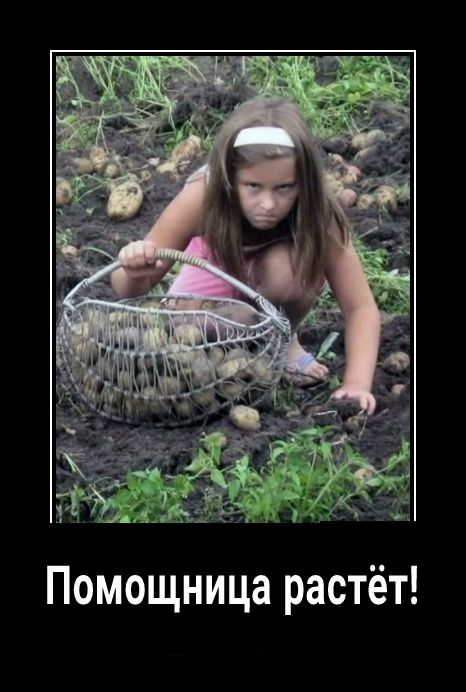 Помощница растёт