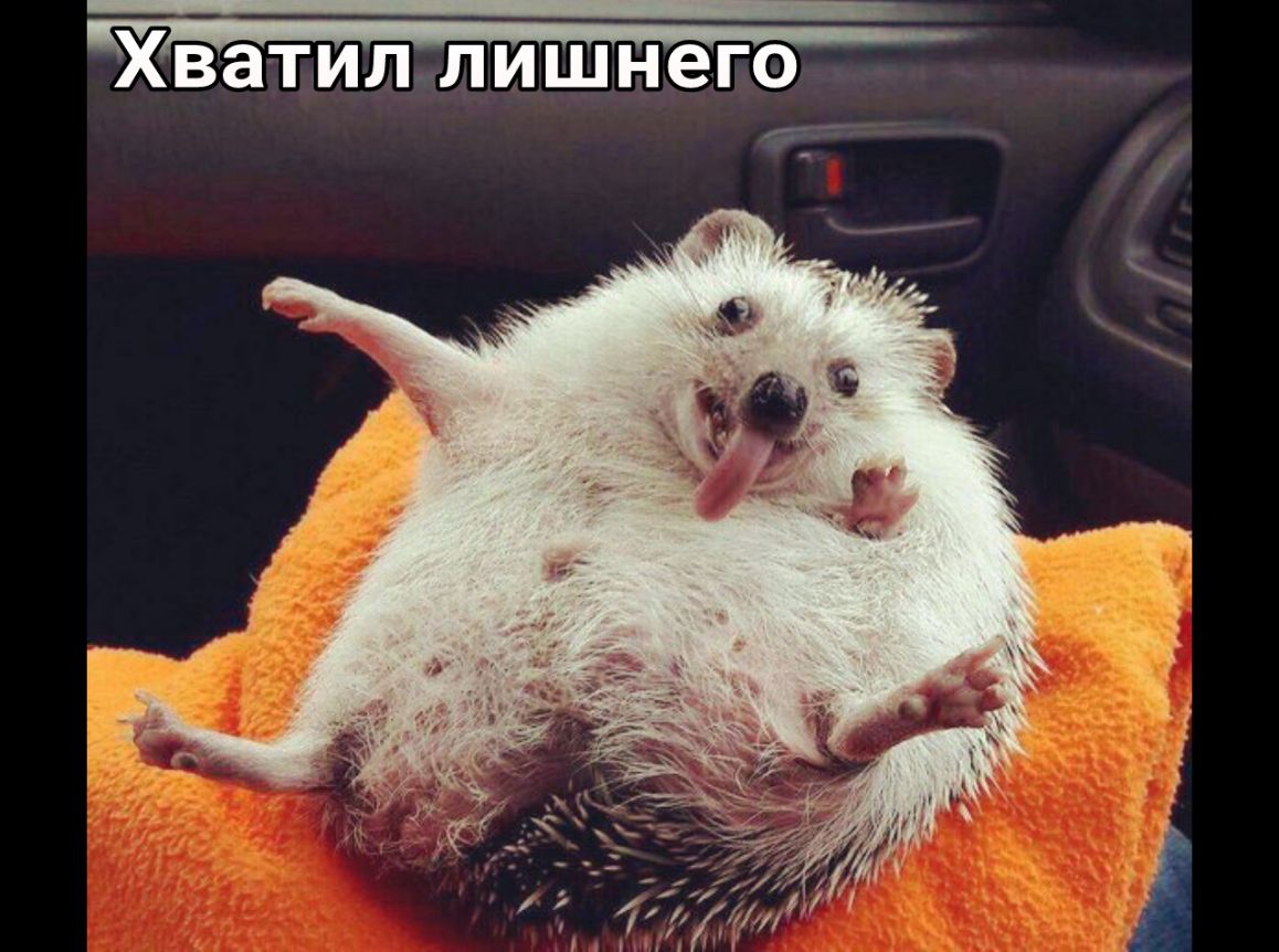 Хватил лишнего