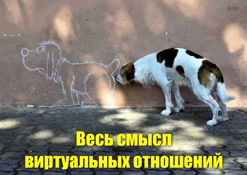 Весь смыв ВИптиапьных отноШеньЩ
