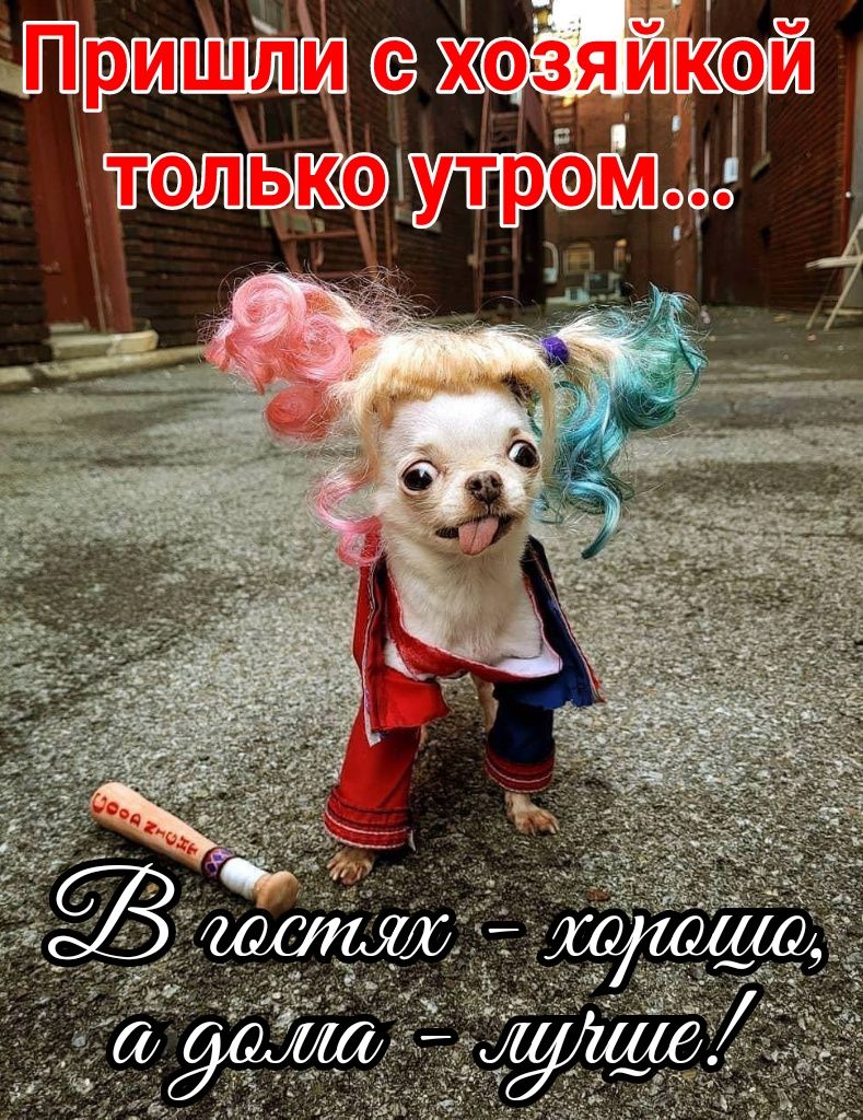 хевяи утро ФЁЩЭО