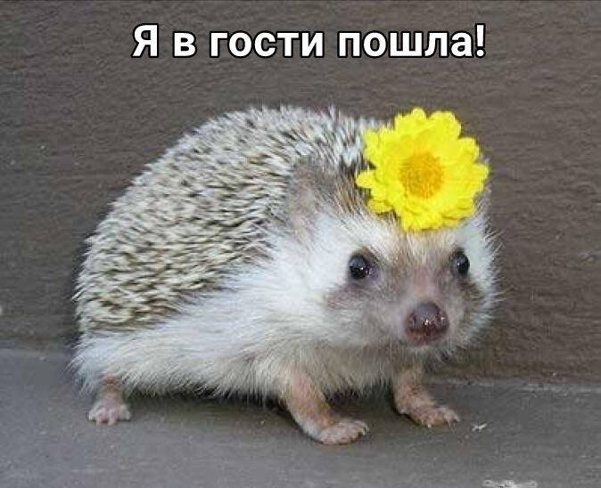 Я в гости пошла