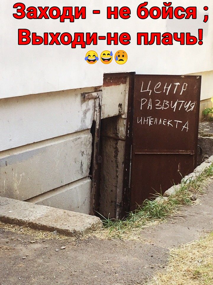 жодгш в й ИЫЖШЁсё ЩЫ Фи 62