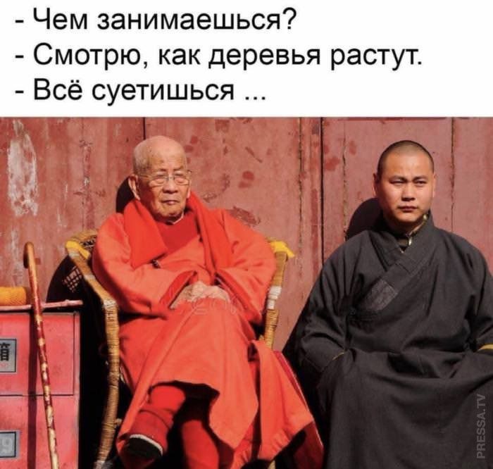 Чем занимаешься Смотрю как деревья растут Всё суетишься