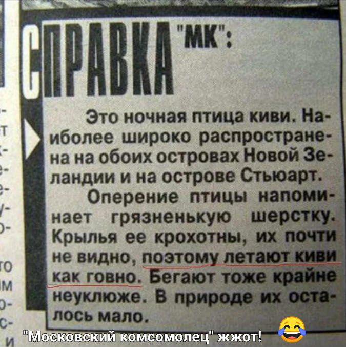Это ночная птица киш Ня ибопее широко распростране на на обоих островах Новой 30 ландии и на острове Стюарт не видно поэтому как говно Багет неуклюже В