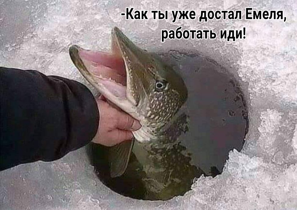 Как ты уже достал Емеля работать иди