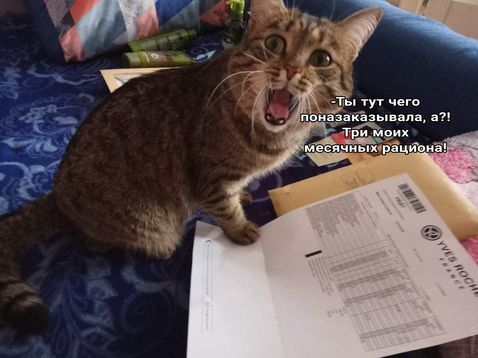 м Ьі тут чего д