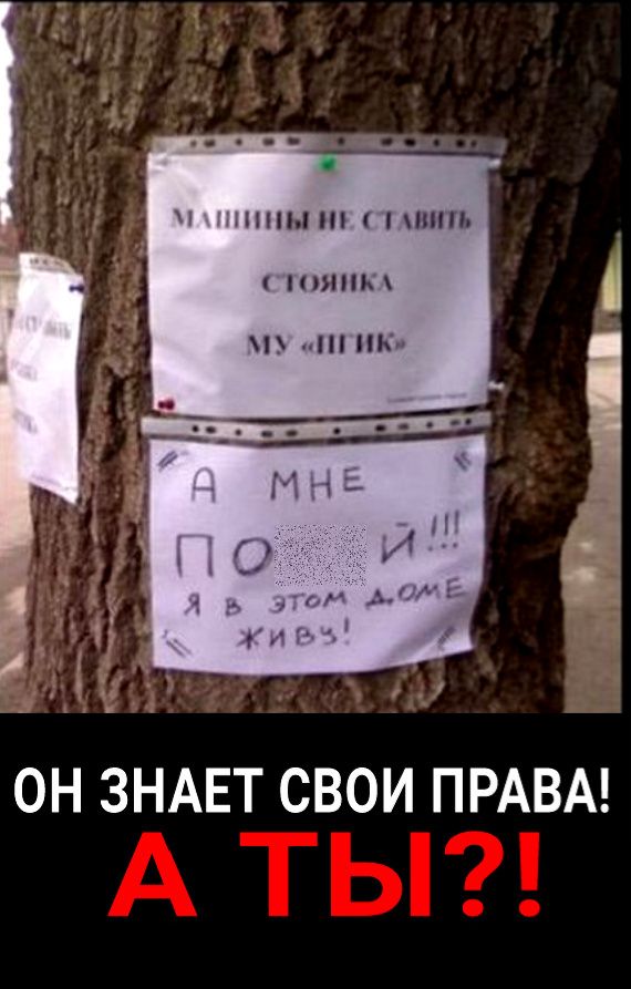 НЫП1НППЬ 0ЯНЬ П ПК ОН ЗНАЕТ СВОИ ПРАВА