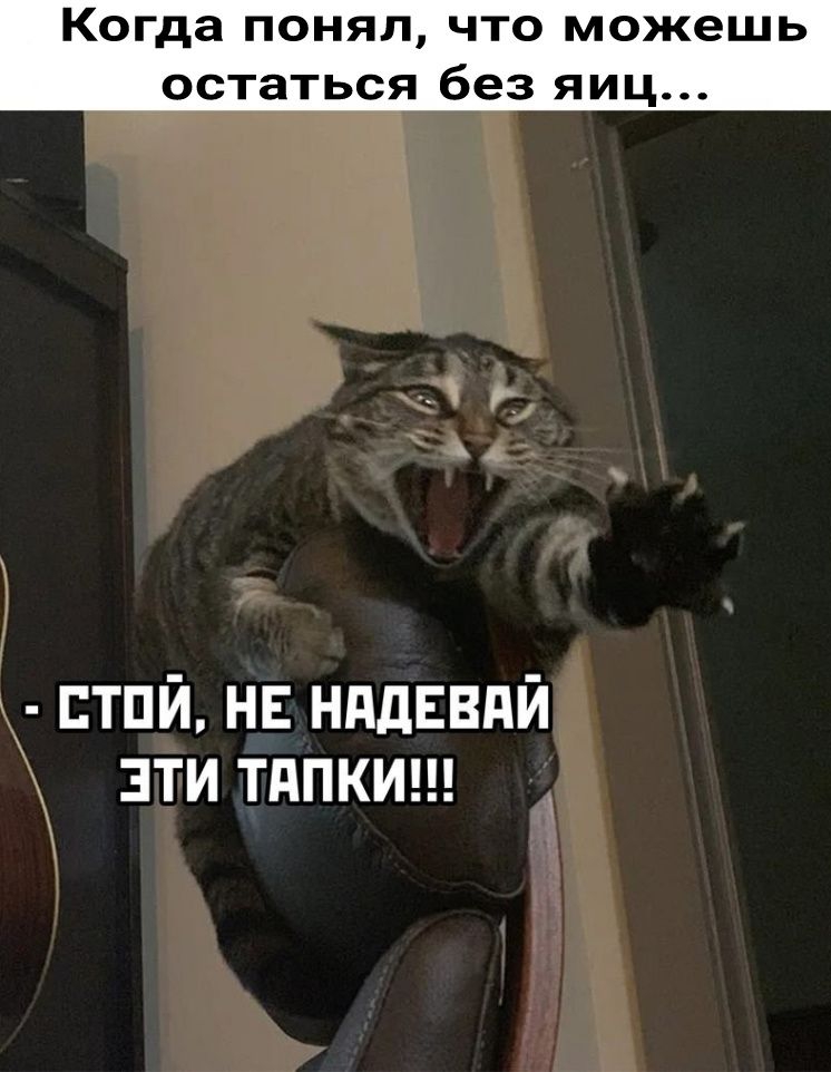 Когда ПОНЯЛ ЧТО можешь остаться без ЯИЦ птпй нв нддввпй ЭТИ ТдПКИ