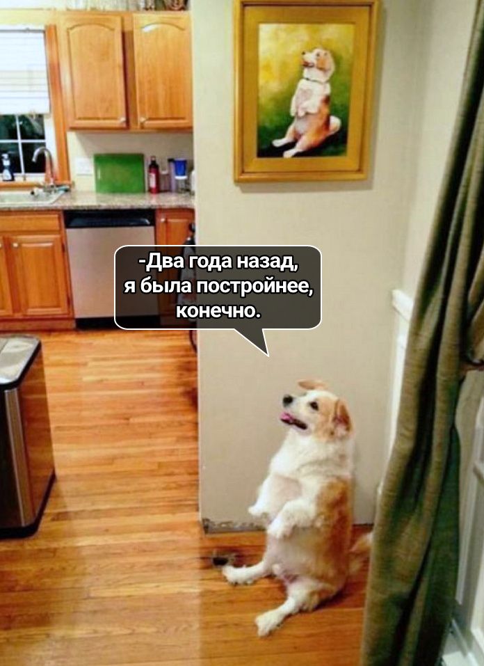 два года назад я была постройнее конечно