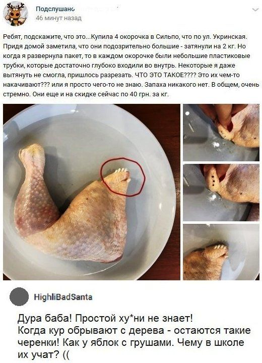 Подслушзкь 46 минут назад Ребят подскажите что это Купила 4 окорочка в Сипьпи что по уп Укрииская Приди домой заметила что они Пидизритепьно большие затянули из 1 кг но когда и развернула пакетто каждом окорочке были иебипьшие пластиковые трубкк которыедопзтичии глубоки входили во внутрь некоторые и даже вытянут не смит пришлось разрезать что это тдкорт эт их кеша наживают или и прост чет не знаю 
