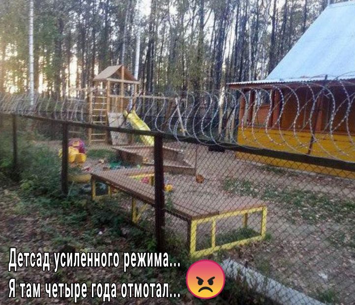 детсаідусиледного режима Я_там четыре годаотмотал