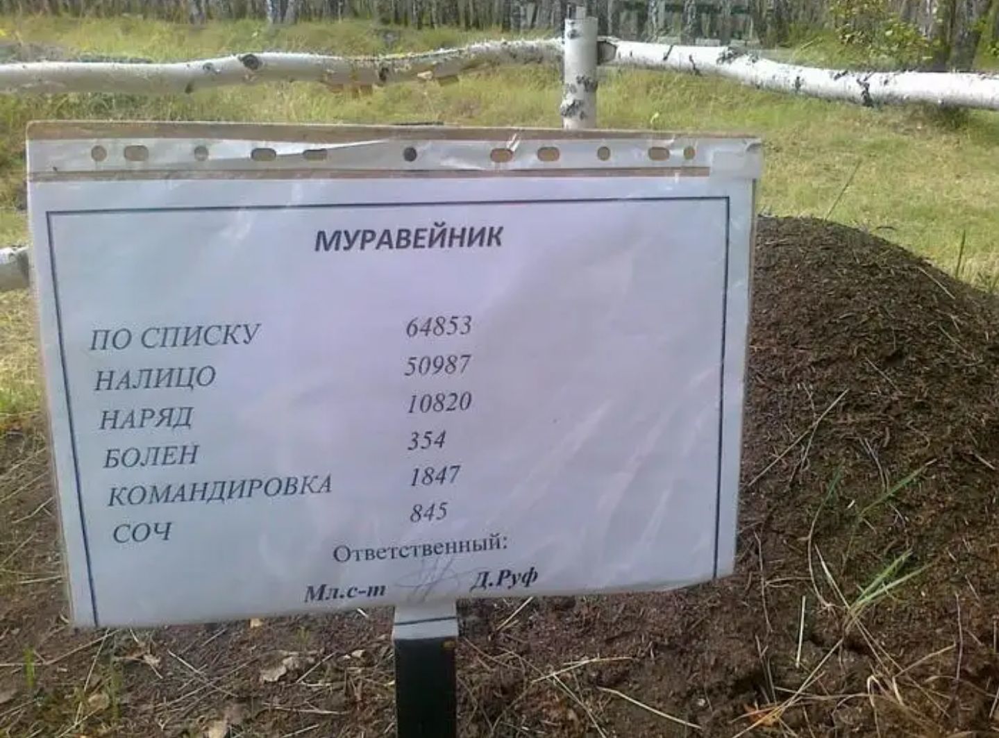 МУРАВЕЙНИК НО С1111с11 4853 НППЦО 50987 НА РЯД 10820 О7ЕН 354 КС А НДИ Р ОВ КА 184 7 СОЧ 845