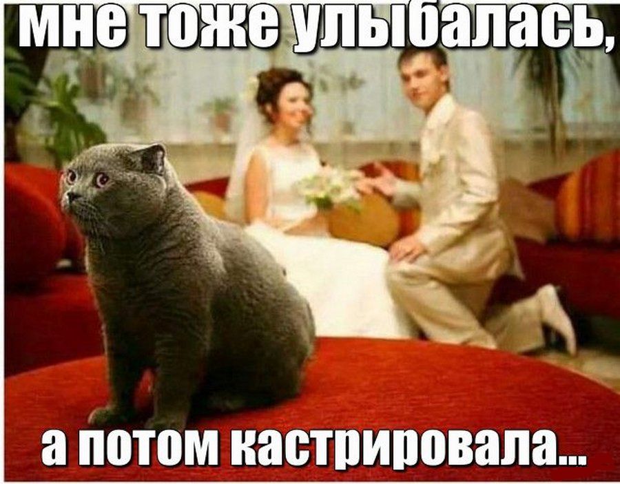 а Потом настпиповапа