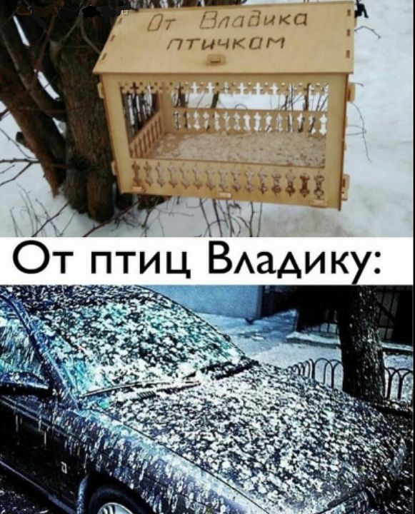 ъп __ т 7 іыка пгтким ОіптИЦВАадик