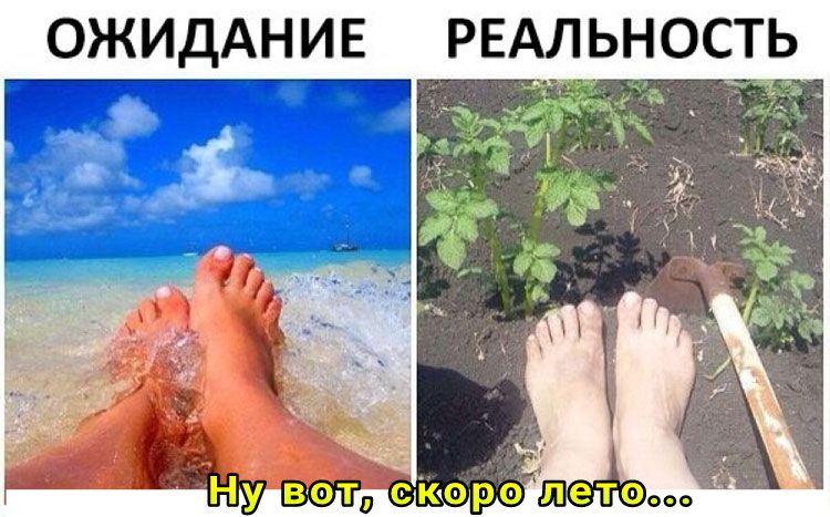 ОЖИДАНИЕ РЕАЛЬНОСТЬ