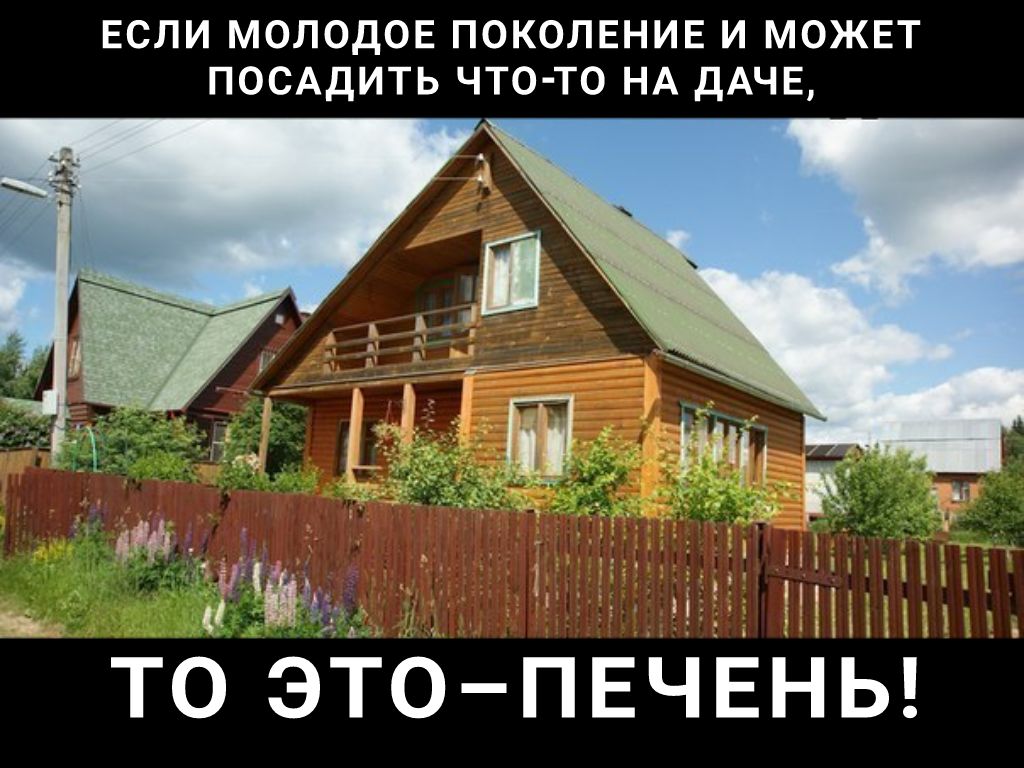 ЕСЛИ МОЛОДОЕ ПОКОЛЕНИЕ И МОЖЕТ ПОСАДИТЬ ЧТО ТО НА ДАЧЕ то 90 ПЕЧЕНЬ