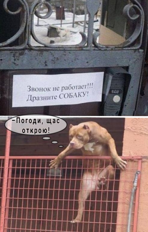 нпъ ни рнш 1рн ып1