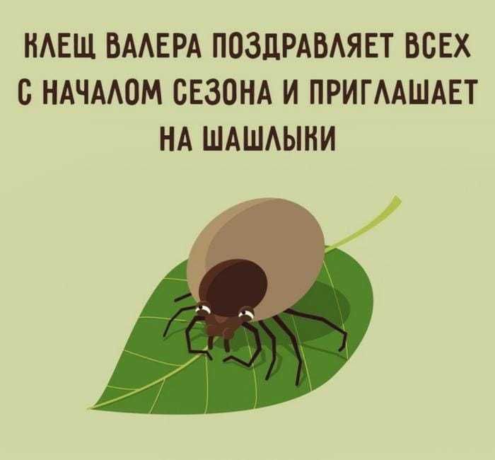 НАЕЩ ВААЕРА ПОЗДРАБАЯЕТ ВСЕХ С НАЧААОМ СЕЗОНА И ПРИГААШАЕТ НА ШАШАЫНИ