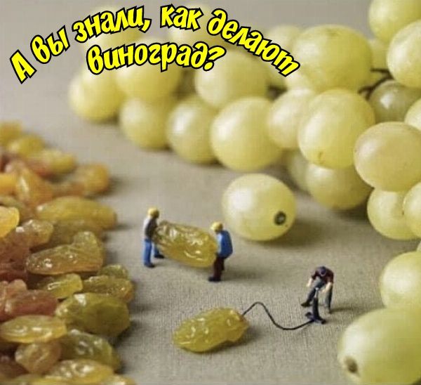 Ср ге   » ё ь, я