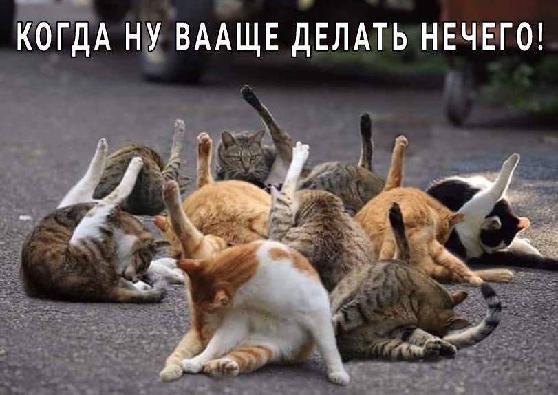 ко_гдА нщВААщв дЕЛАТЬ НЕЧЕГО