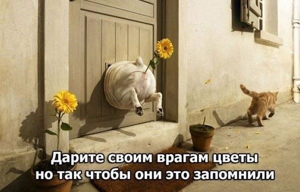 Но так чтобы они это запомнили