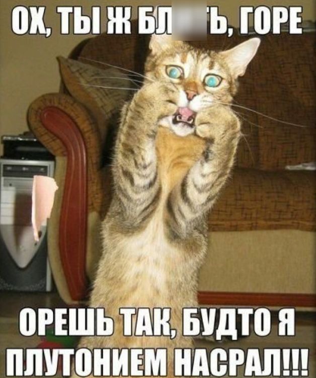 _а РЕЩЁЗ ЖБУДТВ ПЛПЦНИЕМЫНПВРАП