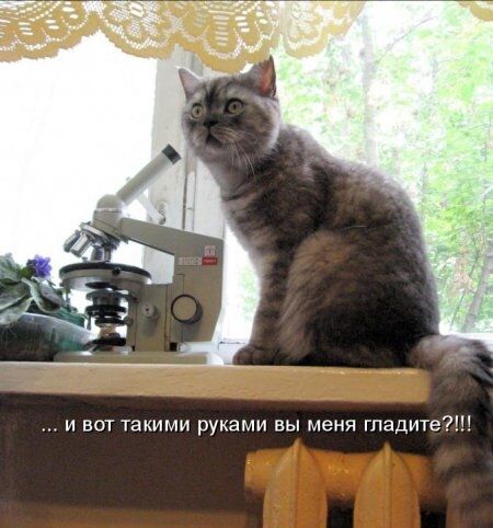 .. И вот такими руками вы меня гладите?!!!
