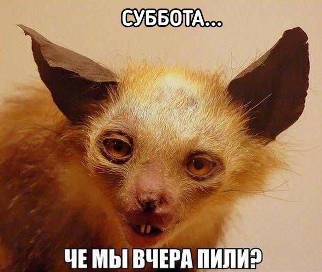 УББОТА чъ мьівчш пипиэ