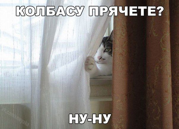 37 ЯЧЕТЕ