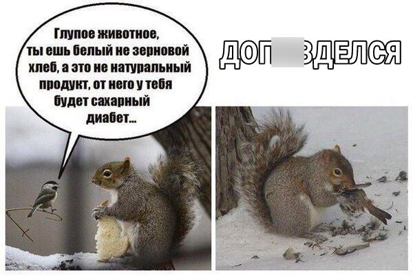 гшпм жившим ты вшь явный ио авпиопй киви эта не ишпшьиый ппошит пт имо ип видит шитый липнет ЗА