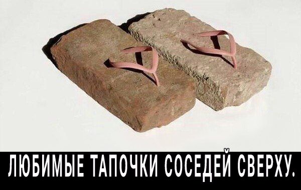 ЛЮБИМЫЕ ТАПОЧКИ СОСЕДЕЙ СВЕРХУ