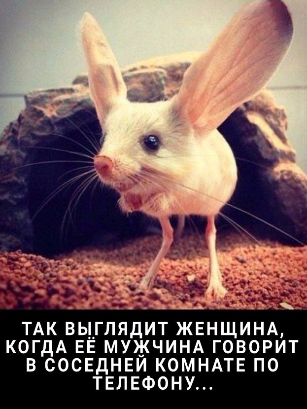 ТАК ВЫГЛЯДИТ ЖЕНЩИНА КОГДА ЕЕ МУЖЧИНА ГОВОРИТ В СОСЕДНЕЙ КОМНАТЕ ПО ТЕЛЕФОНУ