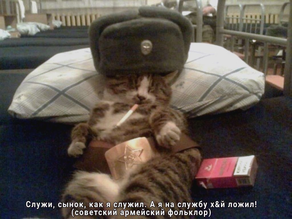 Спужи сынок как я спужип А я на службу хй пожил советский армейский фольклор