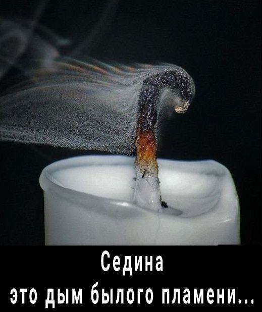 Седина это дым былого пламени